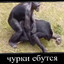 опездал
