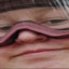 MR.Erich