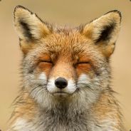 ReynardTheFox - steam id 76561197970953154
