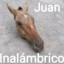 Juan Inalámbrico