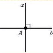 саня перпендикул