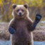 BEAR450