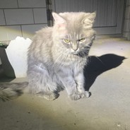 山前没相见 山后别相逢