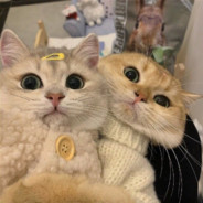 不曾去过到悬山