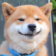 传奇南炮槟榔王哈基兴