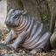 Pygmy hippopotamus