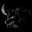 BlackDog