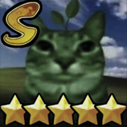 过家家就到此为止吧