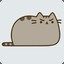 angry pusheen