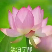 AAAAA理塘烟草朱先生