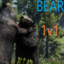 Bear 1v1