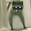 R4catak