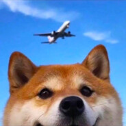 去码头整点薯条