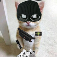 phoenixxx avatar