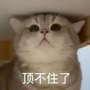 秋河隔在数峰西