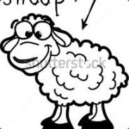 Yeepsheep