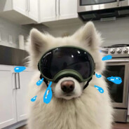 我不会，别追我