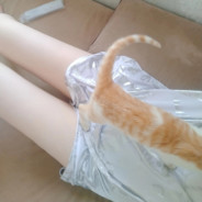 双枪会告诉你答案[本人30】