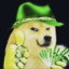 dogethefirst12's avatar