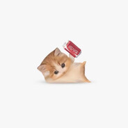 coca-cola enjoyer