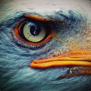 ★ Σ Δ ｇ † є • Ｅｙ Ξ ✯™