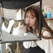 你们先打我拉个电