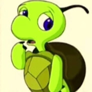 广西155极品双面龟