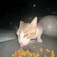 绝不贪生怕死之人