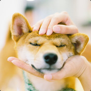 超级无敌萌狗的美女主人