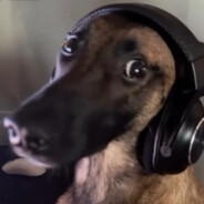 b1teforce - steam id 76561199825052090