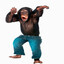 Monkey :)