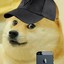 Detective Doge