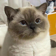 我是谁我在哪谁在打我QA