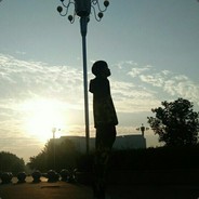 长在树上的马铃薯