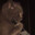 profiles