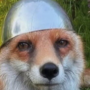 FoxThinkSoo
