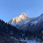 zou p p p 05