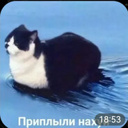 Маса Полосатый