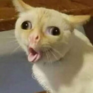 For_you - steam id 76561198812748858