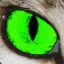 Avatar of Green Eye