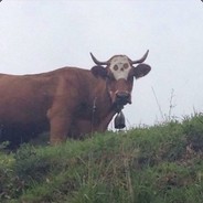 cowman56