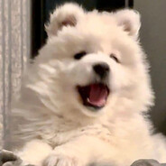 玉米地里吃过亏