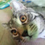 acku
