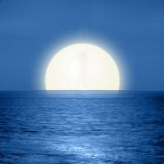 snow ......................night