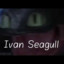 Seagull genius