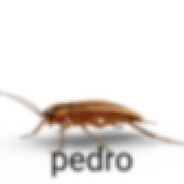 pedro