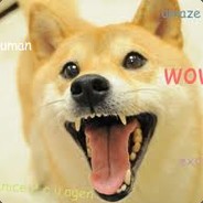 ShibaInuDogDoge