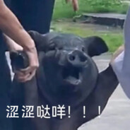 未成年请勿关注18+