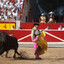 Matador