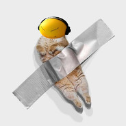 Koltor